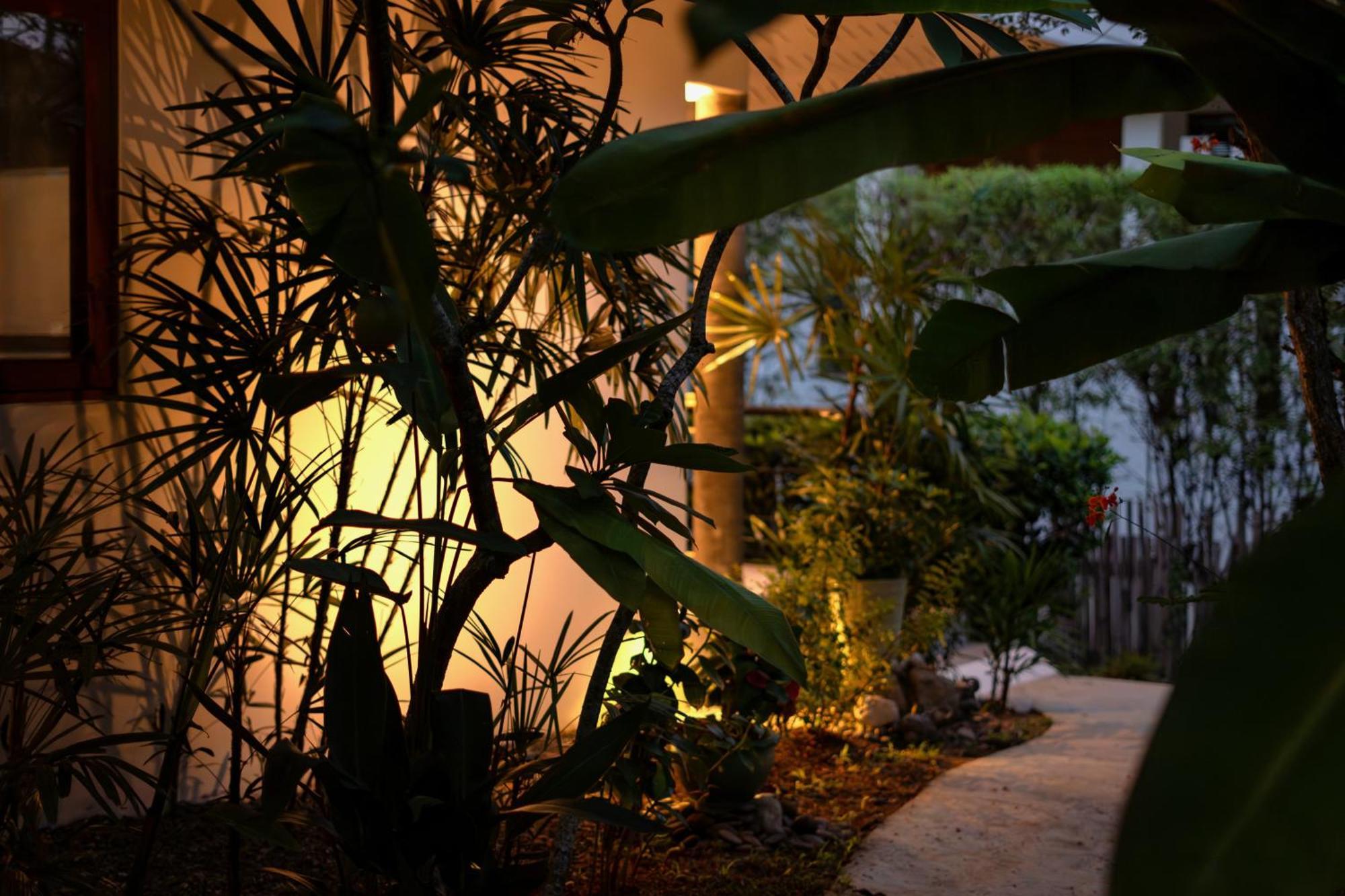 Orchid Lodge Samui - Bed & Breakfast Lamai Beach  Номер фото